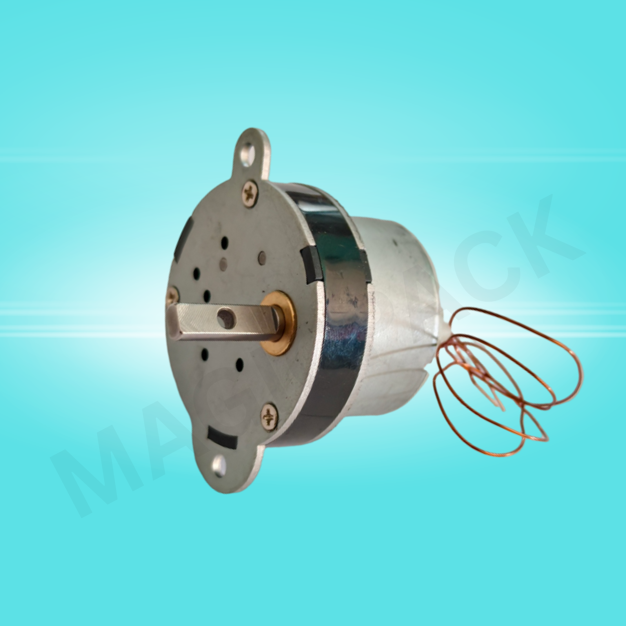 BUCKET MOTOR 100 GRAM